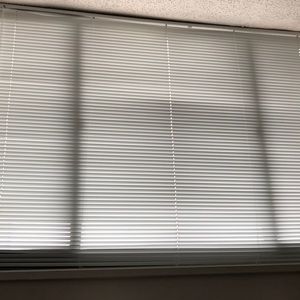 Meet your Posher, Rosie